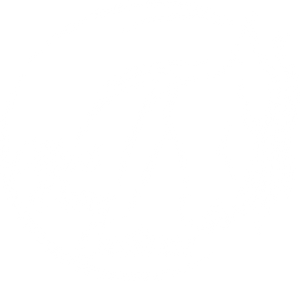 Mad Pony Customs